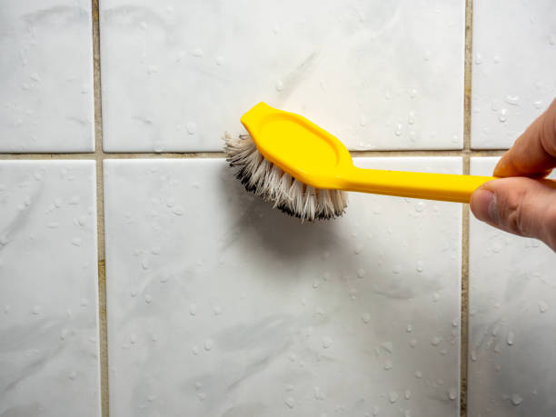 Best Local Mold Removal Service  in Julian, CA