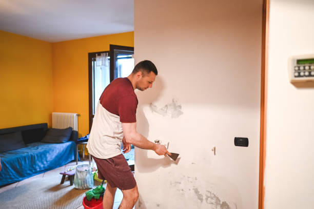 Office Mold Removal Services in Julian, CA
